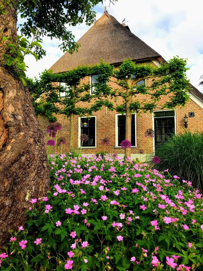 Appartement "In De Wolken" In Gees Exterior foto